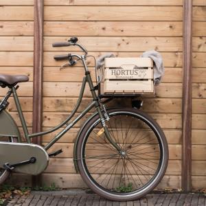 la paulowna boutique hotel