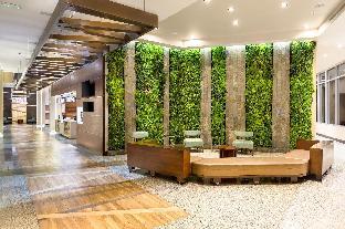 hilton garden inn san jose la sabana