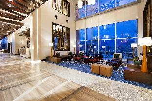 hilton garden inn san jose la sabana