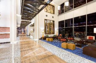 hilton garden inn san jose la sabana