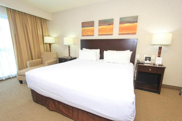crowne plaza leon by ihg