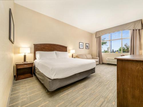 holiday inn lethbridge by ihg