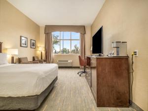 holiday inn lethbridge by ihg