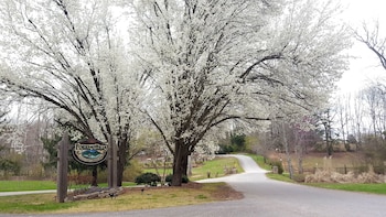 dahlonega