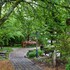 dahlonega