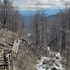 dahlonega
