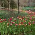 dahlonega