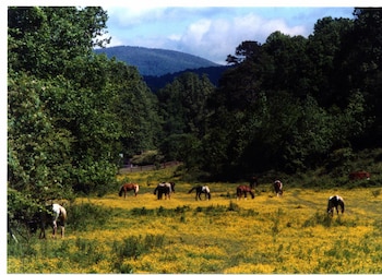 dahlonega