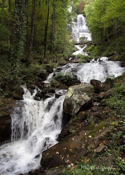 dahlonega