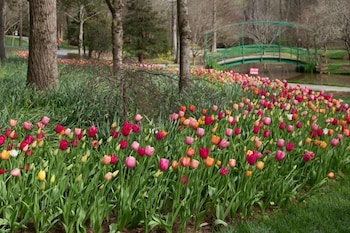 dahlonega