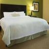 Hampton Inn Snyder Tx,Snyder>>Scurry,3 star