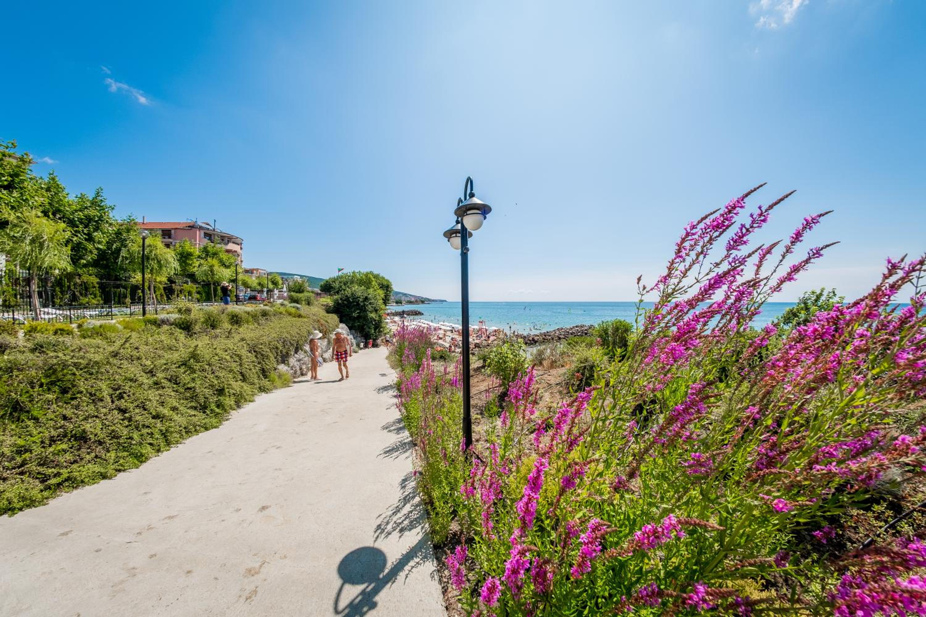 sveti vlas