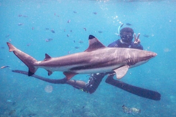 bubu long beach resort