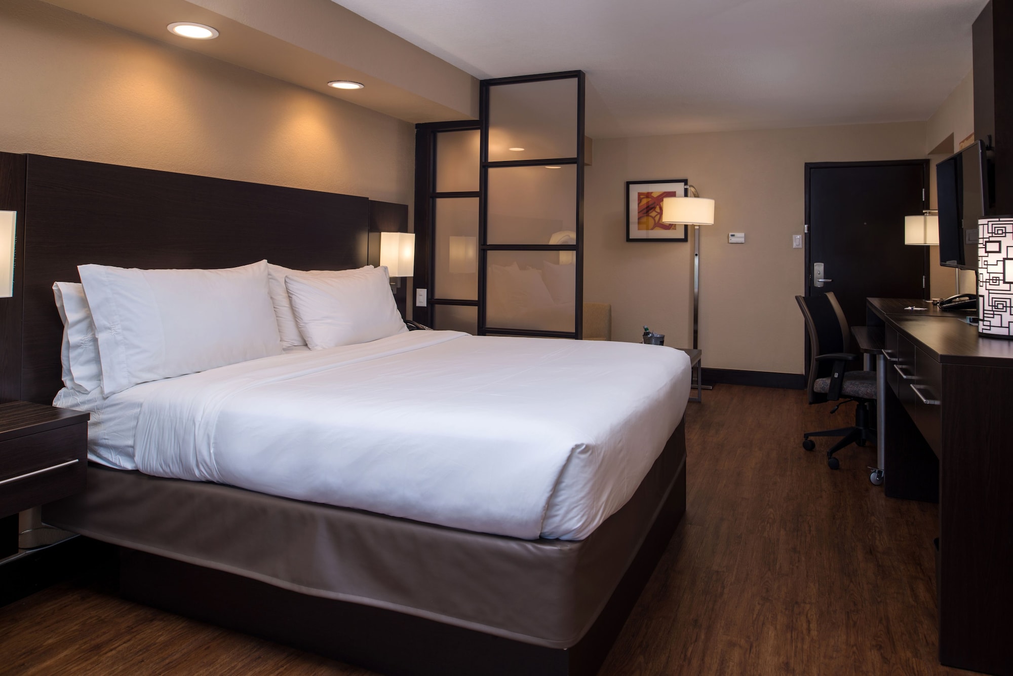 holiday inn express and suites san antonio medical six flags