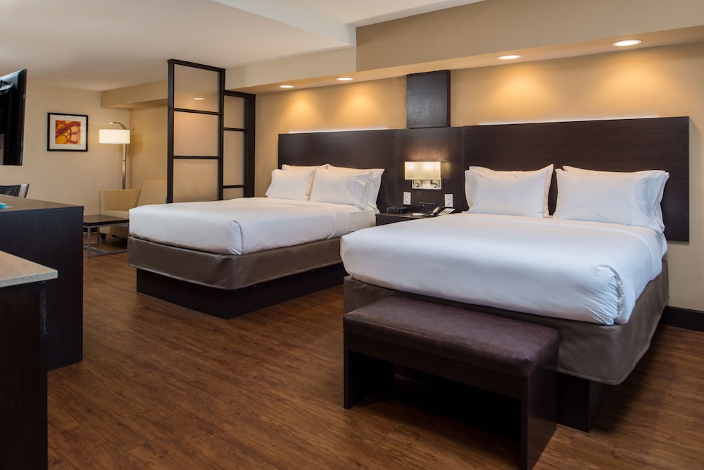 holiday inn express and suites san antonio medical six flags