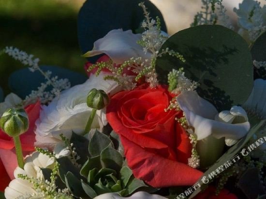 stocks manor bed and breakfast