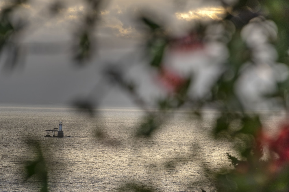 the grosvenor guest house