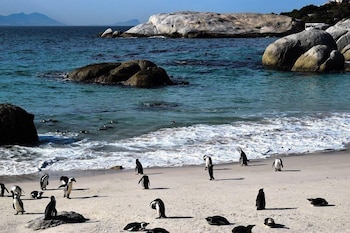 the grosvenor guest house