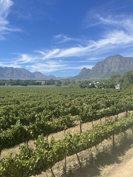 vrede en lust wine estate