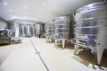 under oaks guesthouse