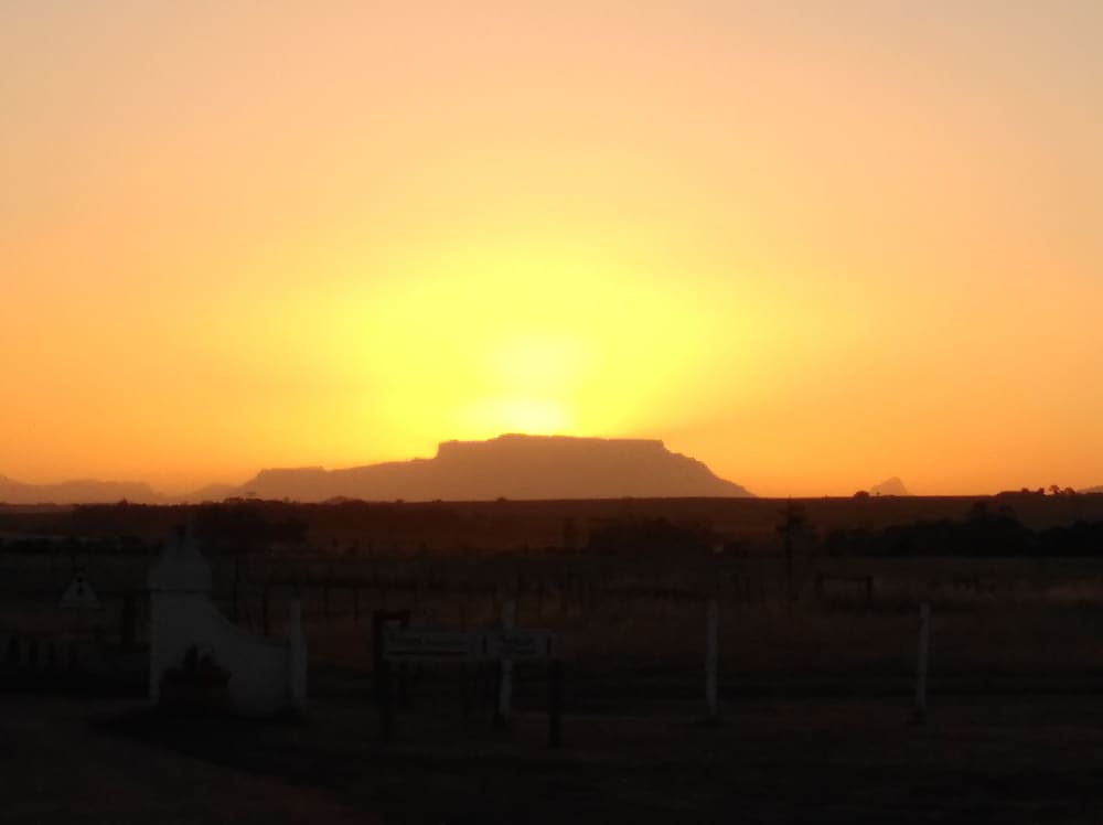 wild clover cottages