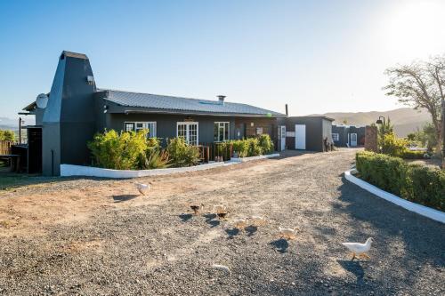 oudtshoorn