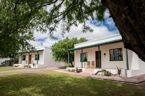 olive grove guest farm