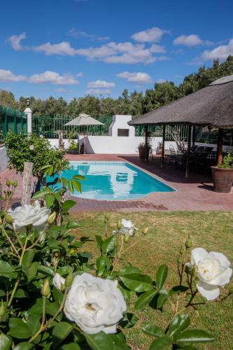 olive grove guest farm
