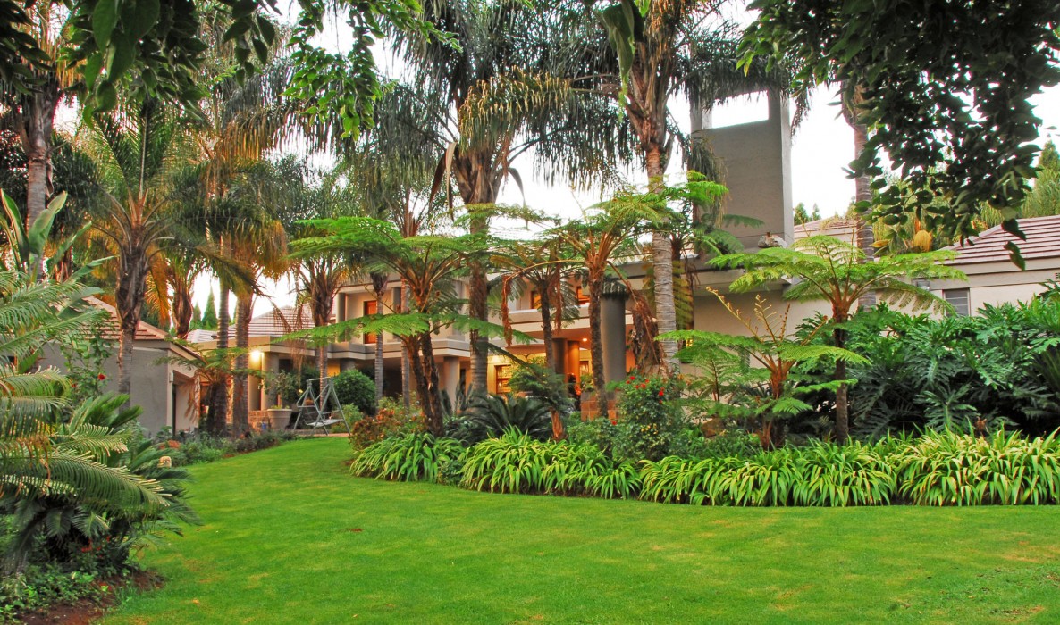 villa amor