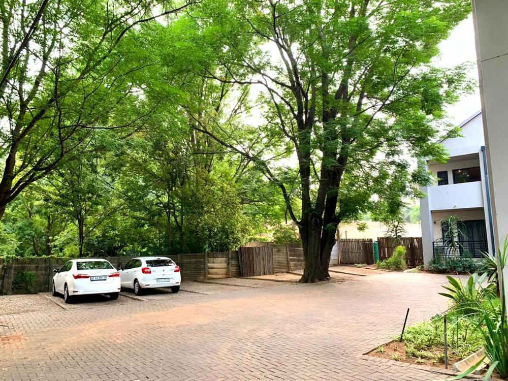 the wild peach menlyn