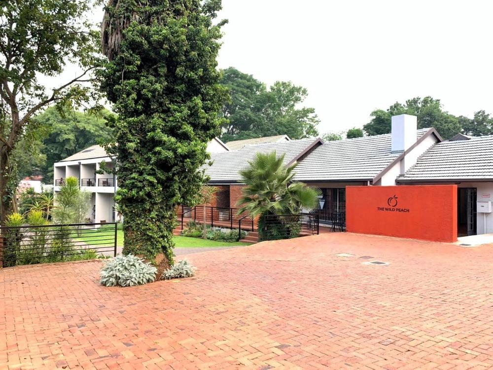 the wild peach menlyn