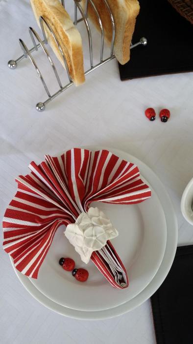 villa xanelle boutique guest house