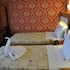 hotel star park