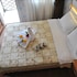 hotel star park