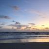 cove motel oceanfront