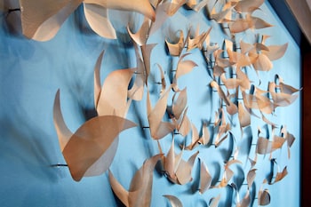 homewood suites by hilton san diego hotel circle seaworld area