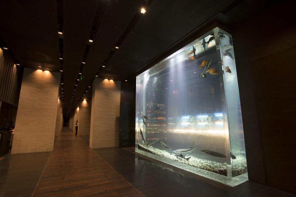 the lalu qingdao