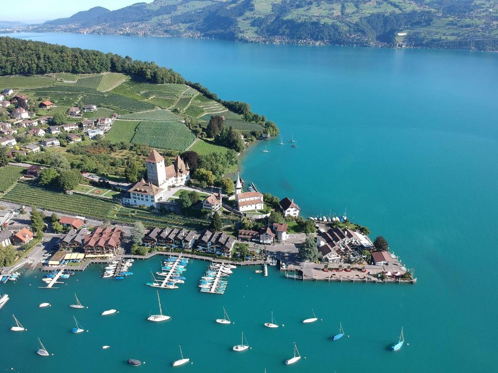 spiez