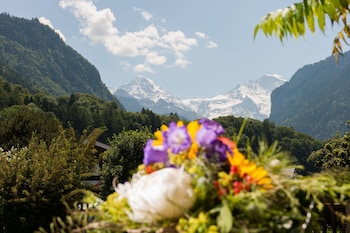 jungfrau hotel annex alpine inn