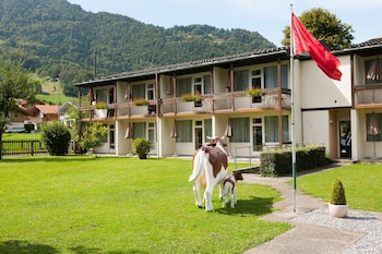 jungfrau hotel annex alpine inn