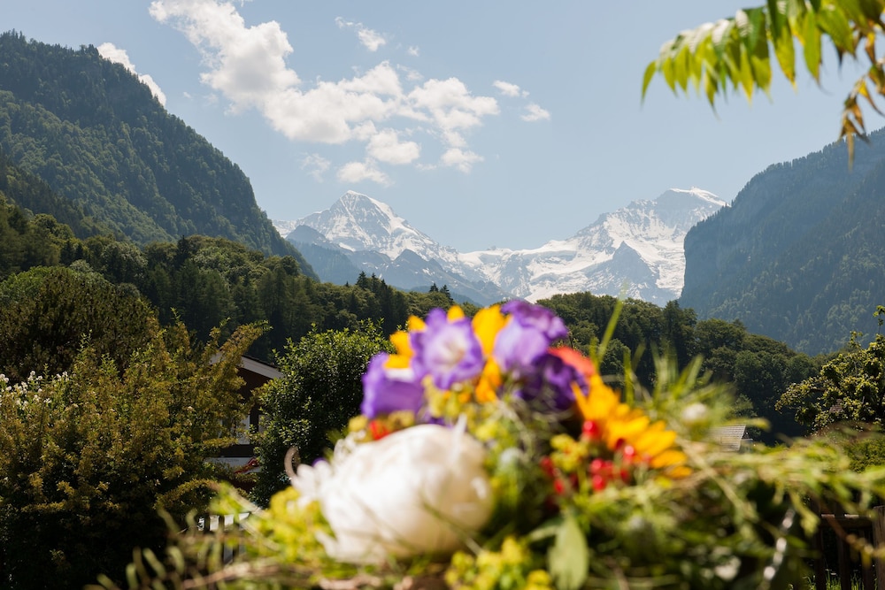 jungfrau hotel annex alpine inn
