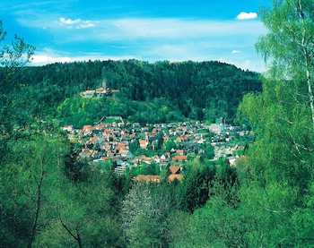 aparthotel hochwald