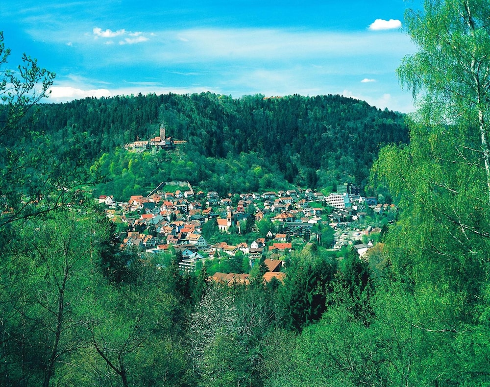 aparthotel hochwald
