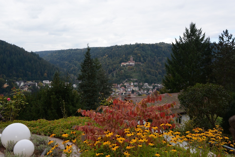 aparthotel hochwald