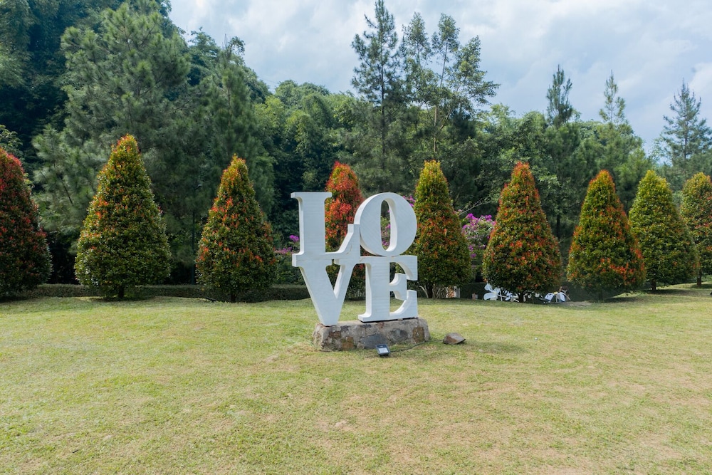 driam riverside resort