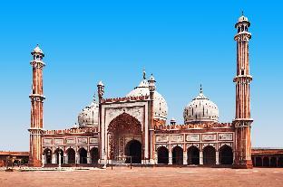 new delhi