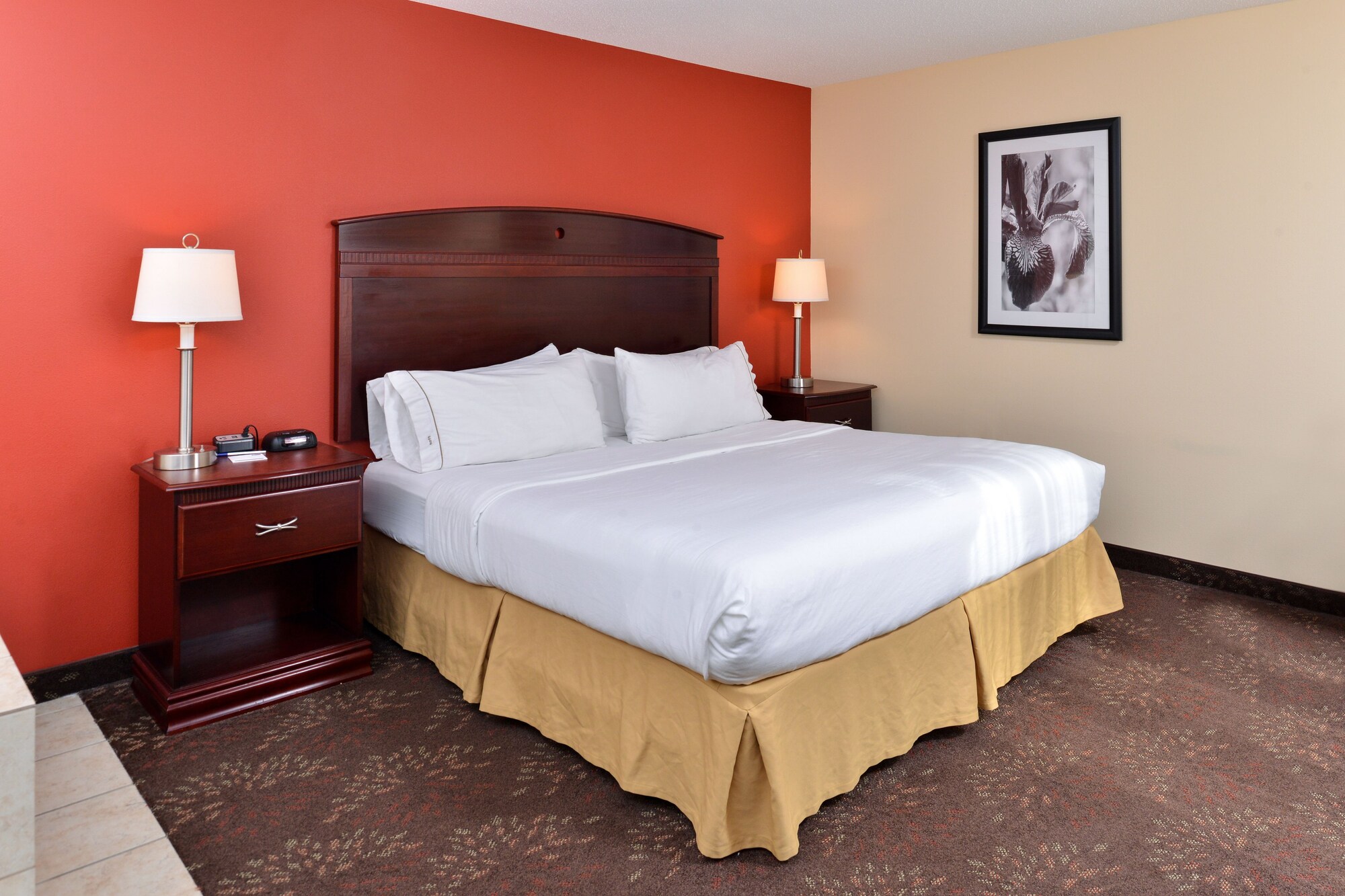 holiday inn express white house by ihg