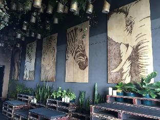 six degrees boutique hotel