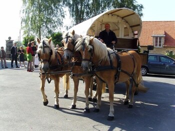 vleteren