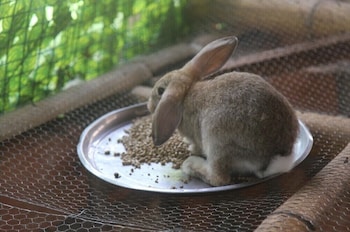 santa fe de antioquia